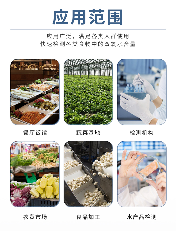 雙氧水檢測(cè)儀